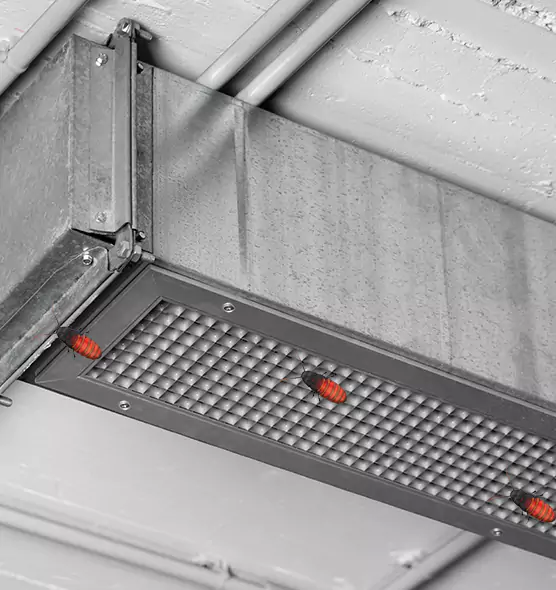 Affordable Insect Removal from Air Ducts in Citrus Park, FL