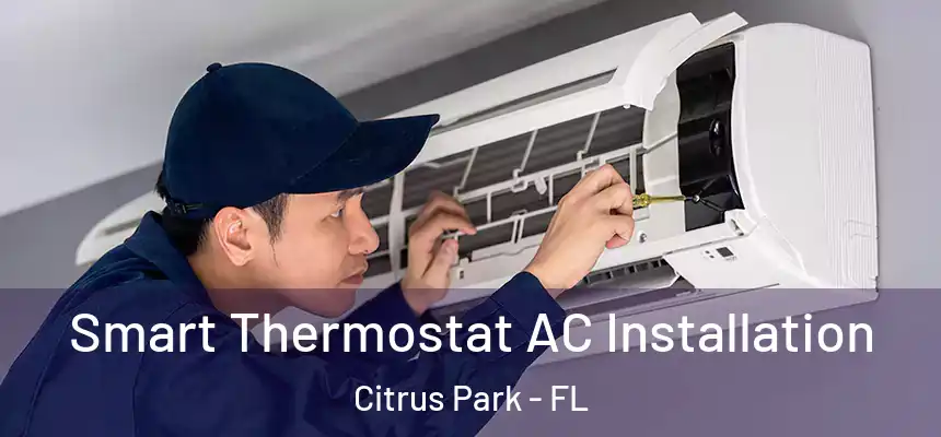 Smart Thermostat AC Installation Citrus Park - FL