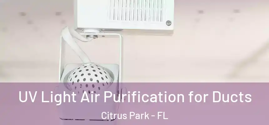 UV Light Air Purification for Ducts Citrus Park - FL