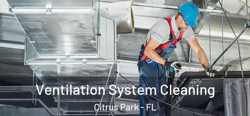 Ventilation System Cleaning Citrus Park - FL