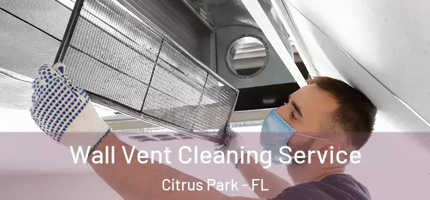 Wall Vent Cleaning Service Citrus Park - FL