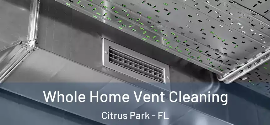 Whole Home Vent Cleaning Citrus Park - FL